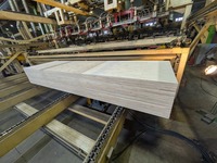 Photo_長尺lvl