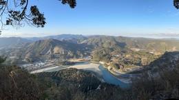 Forest_photo_img_0996_-_コピー