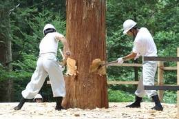 Forest_photo_中津川市三ツ緒伐り